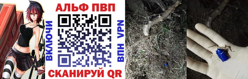Alpha PVP СК МЕГА вход Черкесск