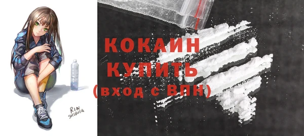 PSILOCYBIN Волосово