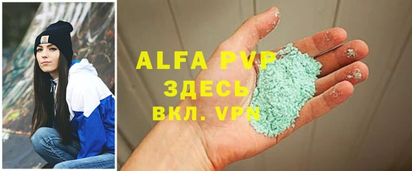 PSILOCYBIN Волосово
