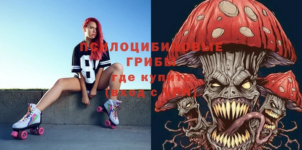 PSILOCYBIN Волосово