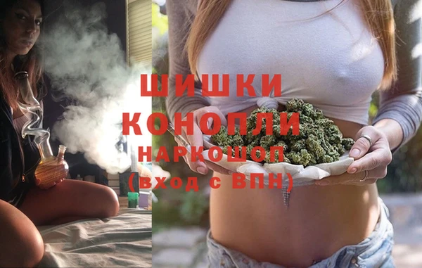PSILOCYBIN Волосово