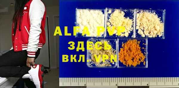 PSILOCYBIN Волосово