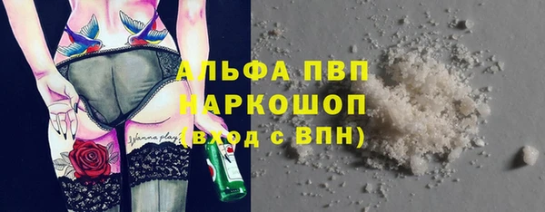 PSILOCYBIN Волосово