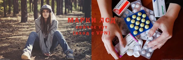 PSILOCYBIN Волосово