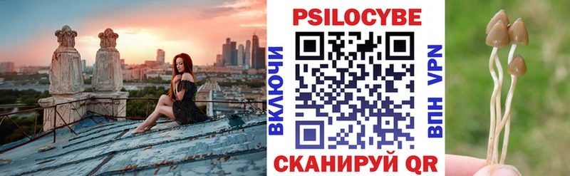 Псилоцибиновые грибы Psilocybine cubensis  blacksprut   Черкесск 